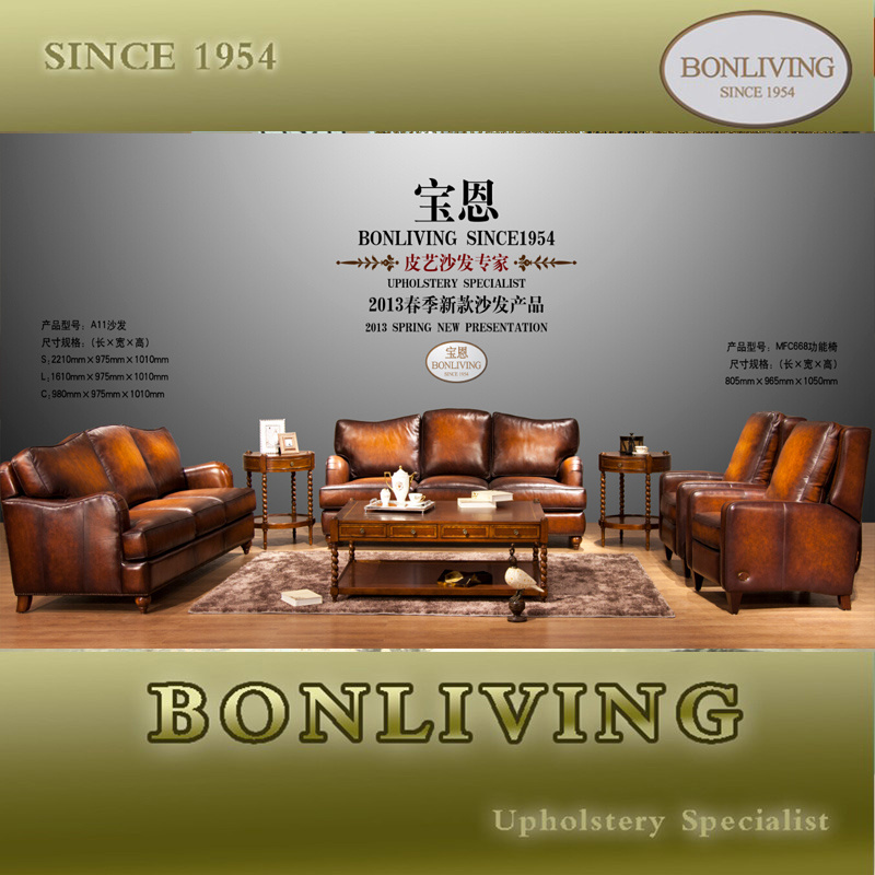 Leather Sofa/Recliner/Reclinig Chair (A11)