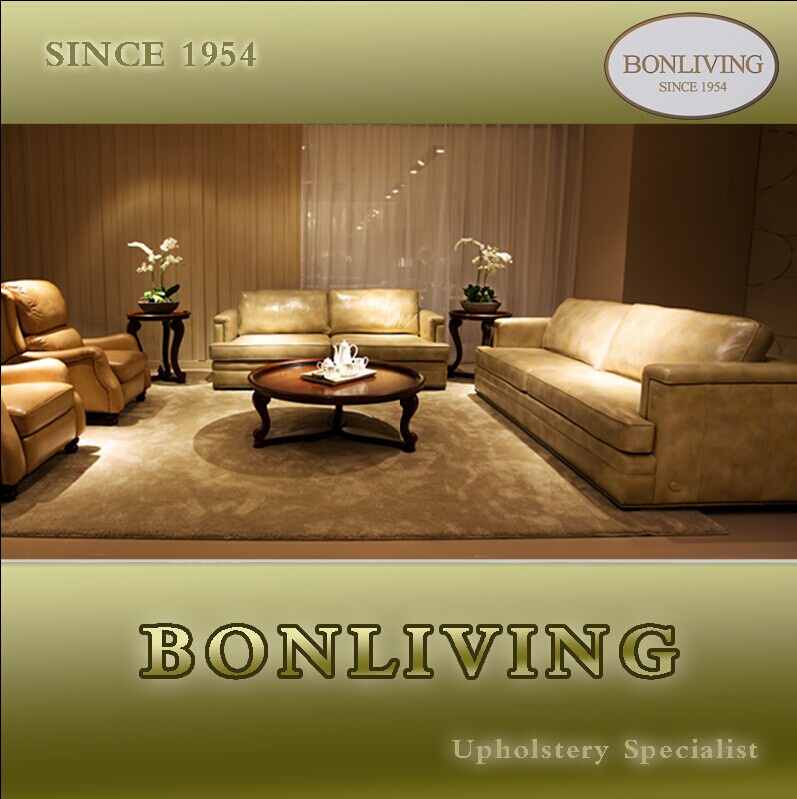 Living Room Genuine Leather Sofa (A10)