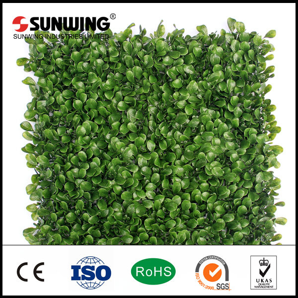 Wholesale Fresh PE Plastic Artificial Plant for Garden Decoration