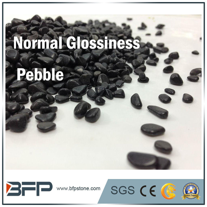Normal Glossiness River Stone Pebble for Park, Public Flooring, Interior Decoration Stone