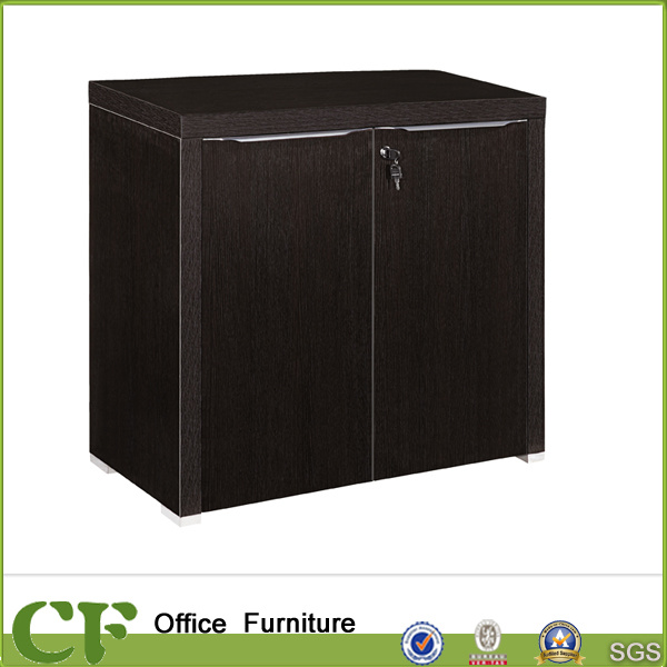 Office Room Low Storage Filing Cabinet