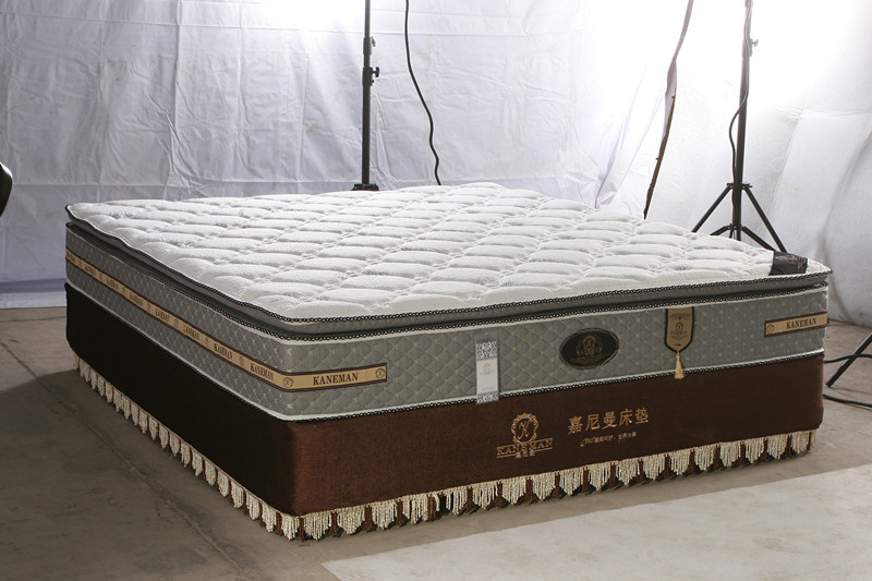 Latex Foam Mattress