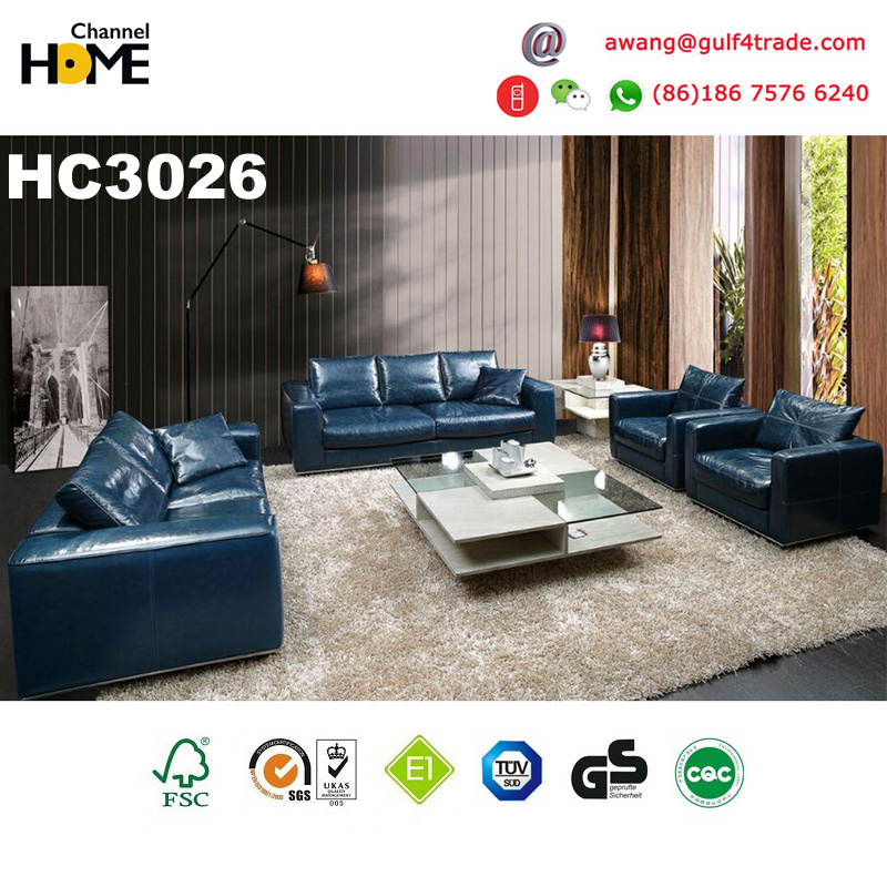 Italian European Design Genuine Leather Sofa (HC3026)