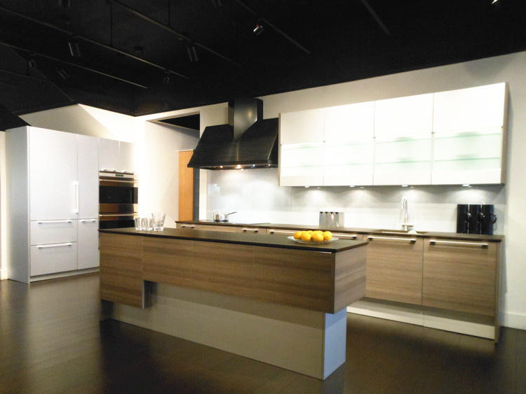 Kitchen Furniture Modern Kitchen Cabinet (GLOE169)