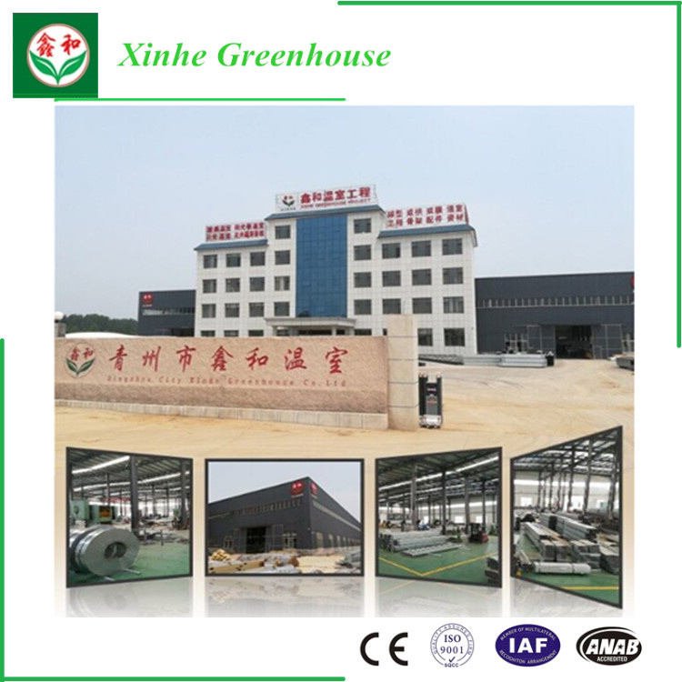 Best Selling Commercial Multi-Span Plastic Glass Greenhouse for Vegetable/Flower Growing