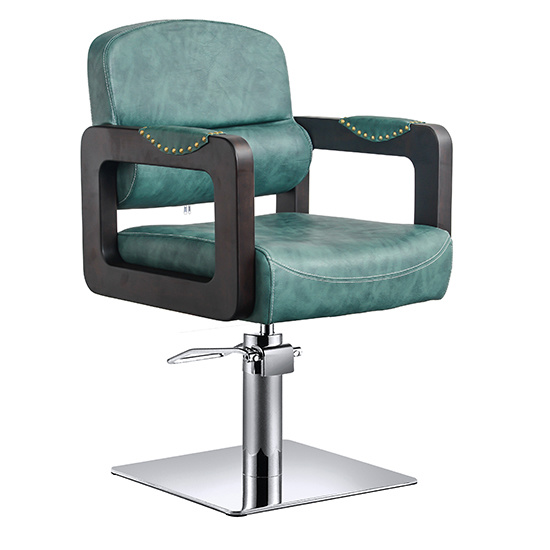 Unique Salon Chair with Stainless Steel Base Za03
