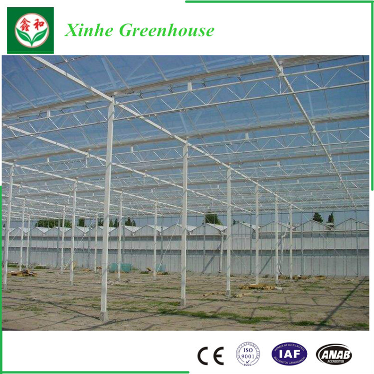Turn Key Greenhouse Project