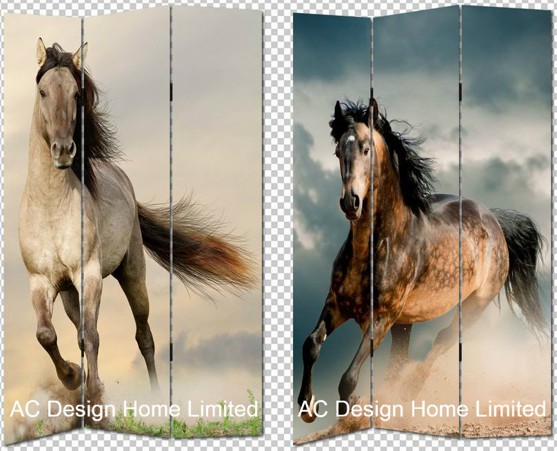 Horse, Zebra & Giraffe Design Living Room Canvas and Wooden Printing Decorative Folding Screen Room Divider X 3 Panel
