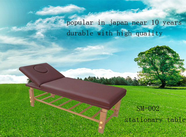 Deluxe Stationery Massage Table (SM-002)