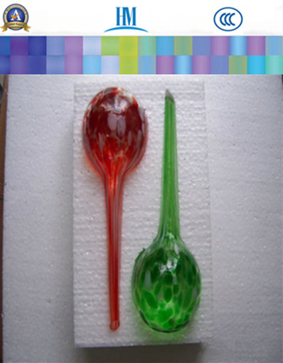 Flower Bulbs, Water Globes for Home Decoration