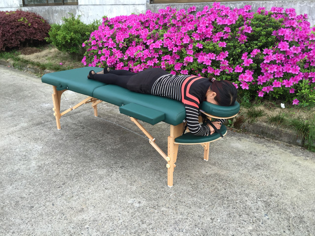 New Portable and Foldable Beauty Bed