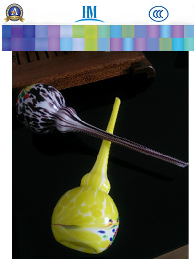 Flower Bulbs, Water Globes for Home Decoration
