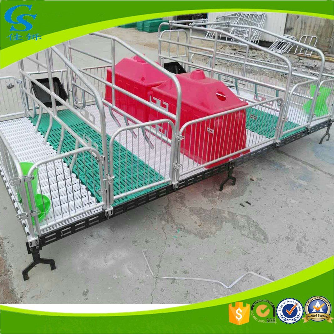 Farming Galvanized Nursery Crates Pig Sowing Bed