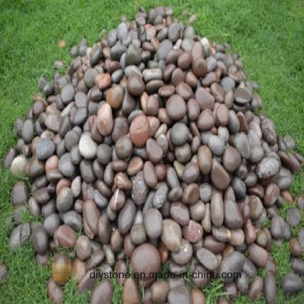 Colorful Beach Pebble