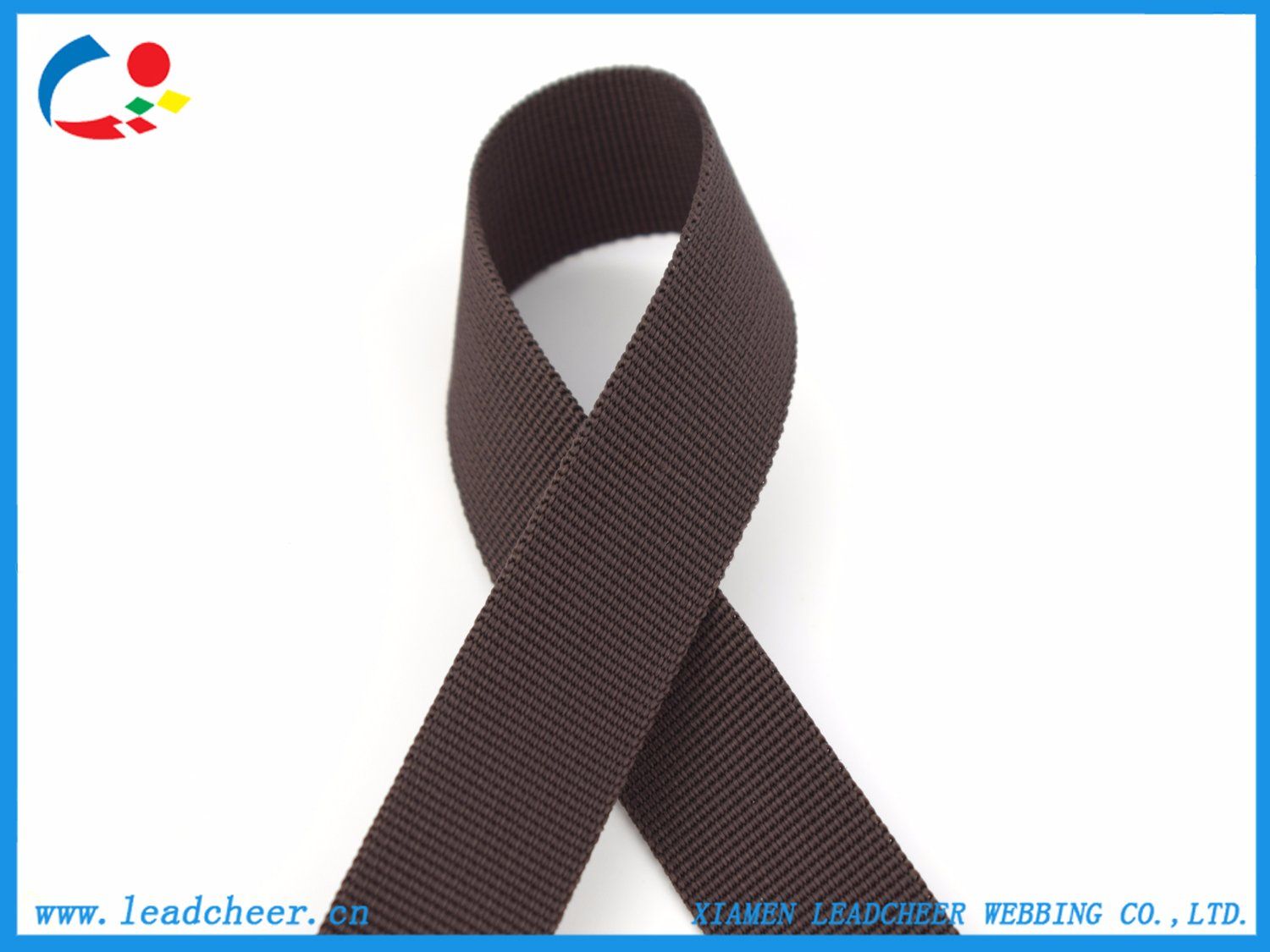 Manufacturer Eco-Friendly Customized PP Ribbon for Bag Decoration