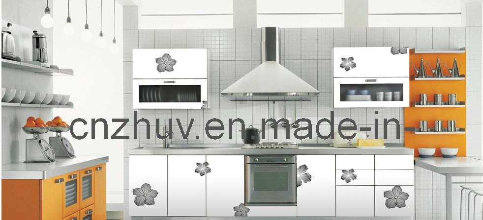 Intergral Cupboard of UV Color Painting Panel & Cabinet Doors or Door Board (ZH-C861)