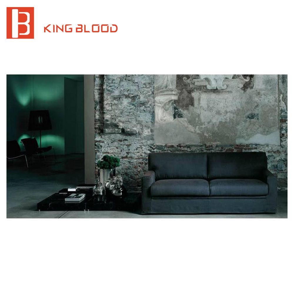 Loveseat 2 Seater Sofa Sleeper for Living Room Furniture Sets
