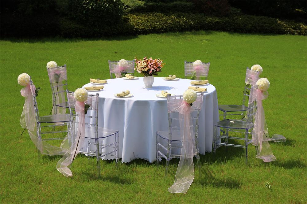 Clear Wedding Chair/Clear Chiavari Chair/Clear Chair