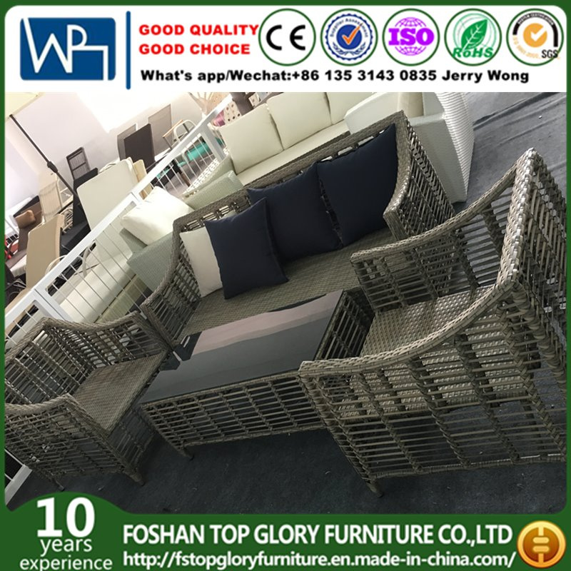 Modern Outdoor Rattan/Wicker Sofa Leisure Garden Furniture (TG-6009)