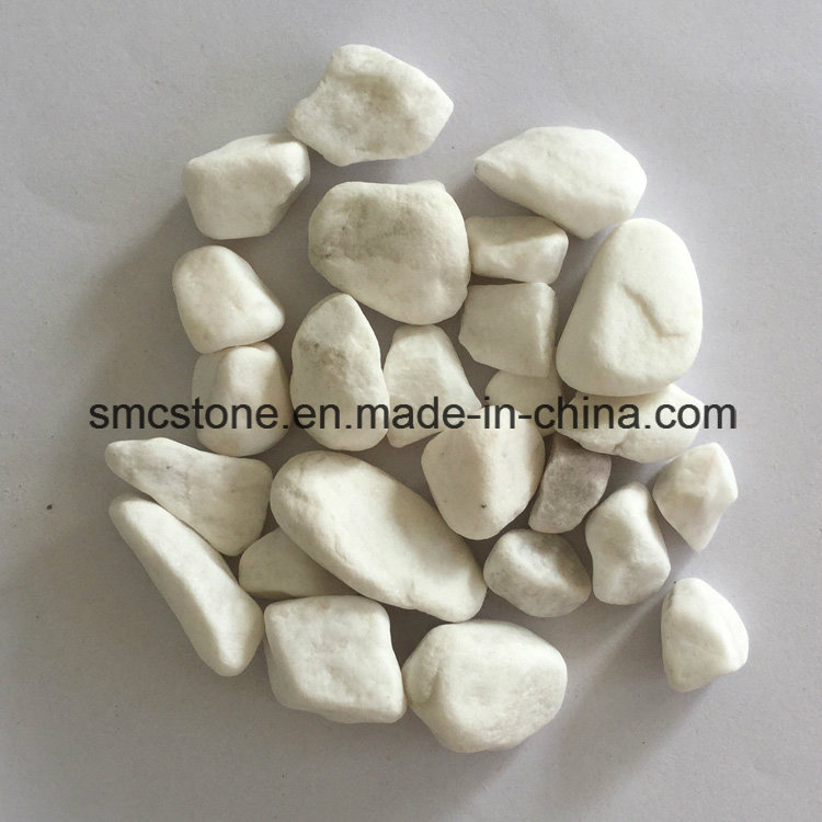 Mechanism Pebbles Pebble&Gravel Pebbles (SMC-MPW038)