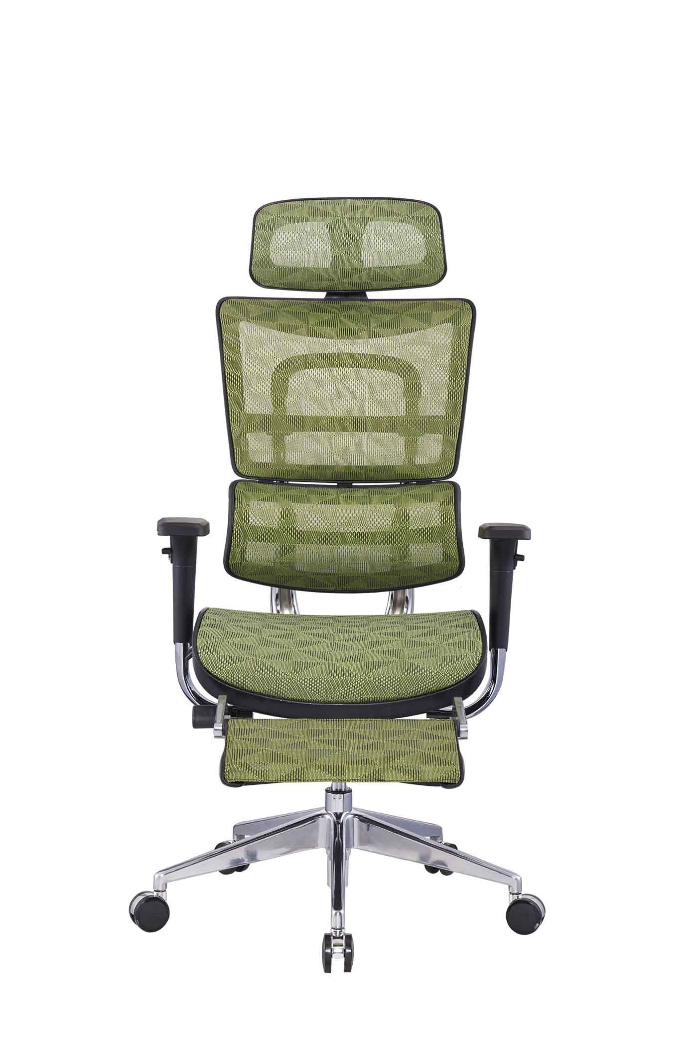 Net Back Office Chair High End Ergohuman Chair
