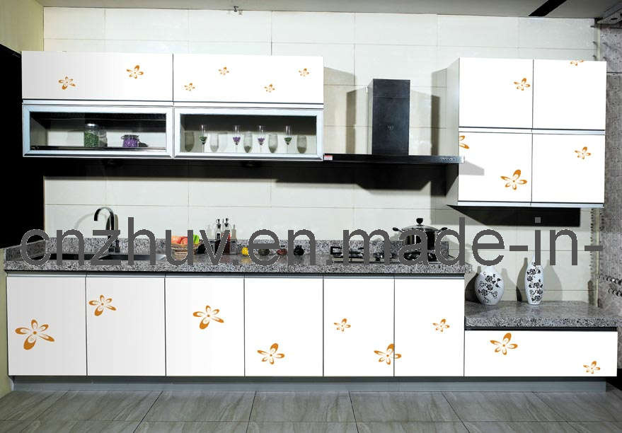 Intergrated Cupboard of UV Color Painting Board (ZH-C860)