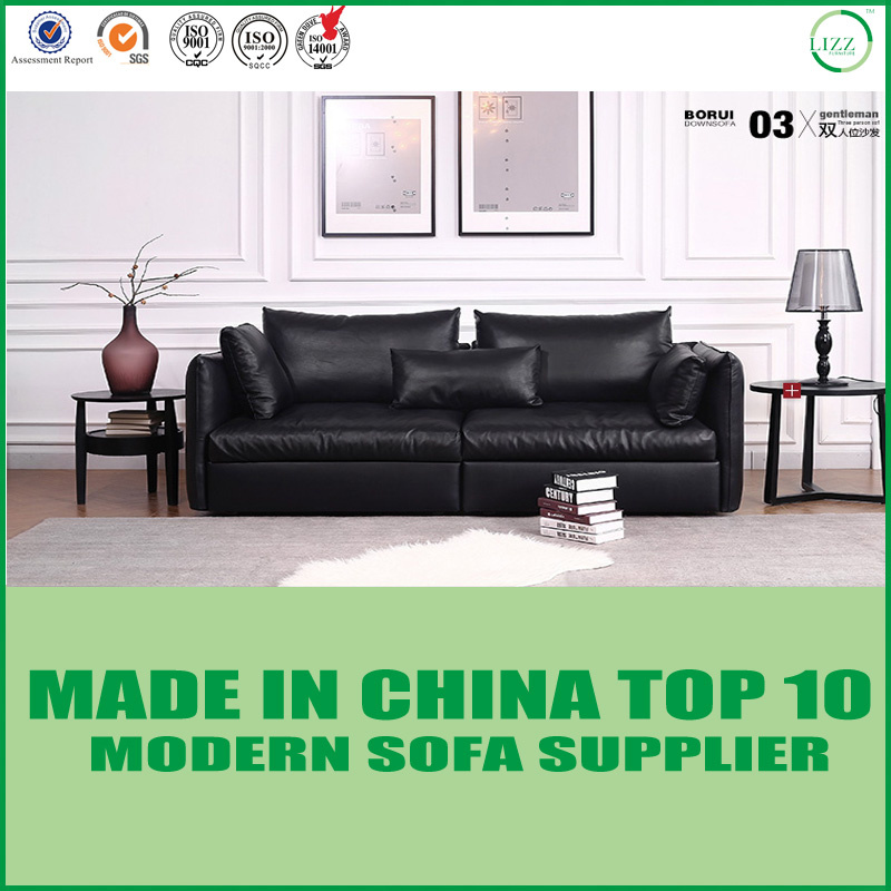Antique Home Furniture Modern Two Seats Sofa