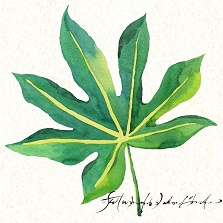 Charming Fatsia Leaf Handmade Painting Art for Home Decor