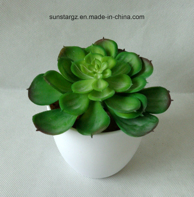 PE MID Echeveria Artificial Plant for Home Decoration (50155)