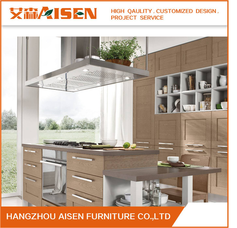 Shaker Solid Wood Door Panel Blum Kitchen Cabinet