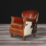 Retro Leisure Chair