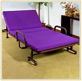 Wholesale Sofa Bed/Sofa Cum Bed/ Folding Sofa Bed Latest Design