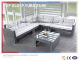 Wicker Small Corner Sofa Set for Outdoor (TG-051)