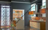 High Gloss Flower Design UV Kitchen Cabinet (zs-419)