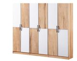 Wardrobe Made in China with New Design3