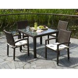 Modern Wicker Dining Set (DS-06043)