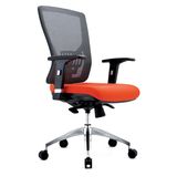 PP Back Ergonomic Task Chair with Nylon Swive Back