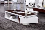 Rotatable Funtional Modern Coffee Table (CJ-116)