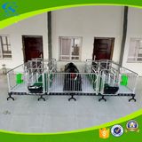 Farming Galvanized Nursery Crates Sowing Bed