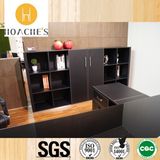 China Manufacturer Best Price Book Storage Cabinet (C8)