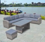 Rattan Patio Home Hotel Office Buffalo Lounge Combination Outdoor Sofa Set (J695)