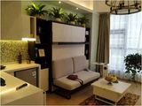 Double Murphy Wall Bed With Front Sofa And Bookshelf