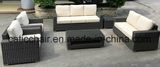 Patio Furniture Holiday Village PE Rattan Sofa Ln-804