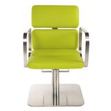 Nice Color Hair Salon Equipment Barber Chair (A003)