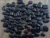 Plastic Cobblestone for Swimming Pool / Garden Path/Colorful Cobbly