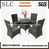 Plastic Rattan Furniture/Furniture Set/Bamboo Furniture (SC-M0035)