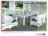Outdoor Rattan Garden Dining Set (TG-1615)