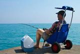 Collapsible Beach Chair with Sunshade