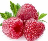 EU Quality, GMP 100%Natural Organic Wild Blaeberry/Raspberry Fruit Juice, King Anthocyanins, Anticancer, Radiation Resistance, Anti-Aging,Killer of Liver Cancer