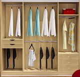 Modern Design Modular Wardrobe (Br-22-C)
